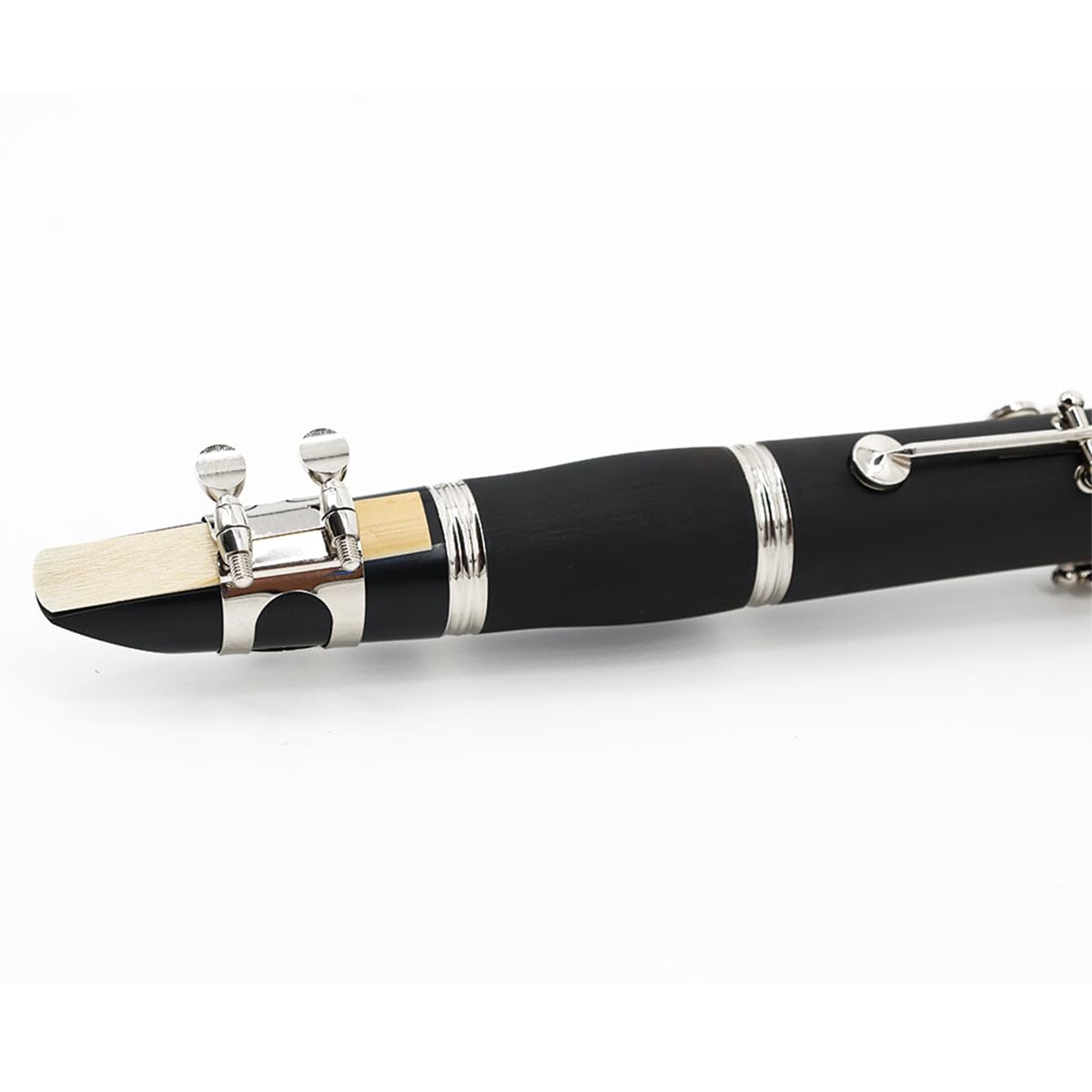 StarQuest Bb Clarinet | ABS Body, 17 Nickel Keys, Case & Reed